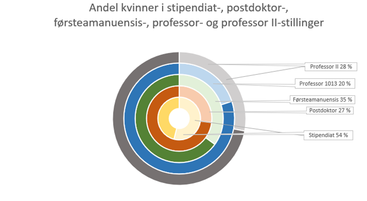 kvinner i vitenskapelige stillinger ved NHH. Illustrasjon