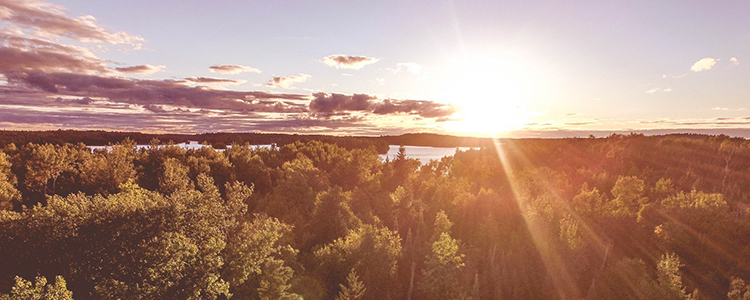 Forrest Sea and sun_750px.jpg