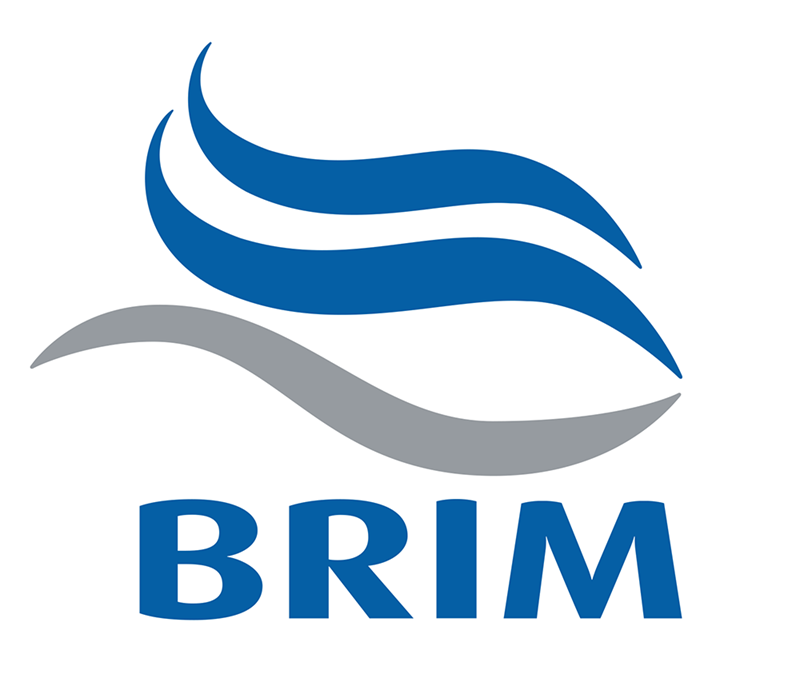 Brim logo