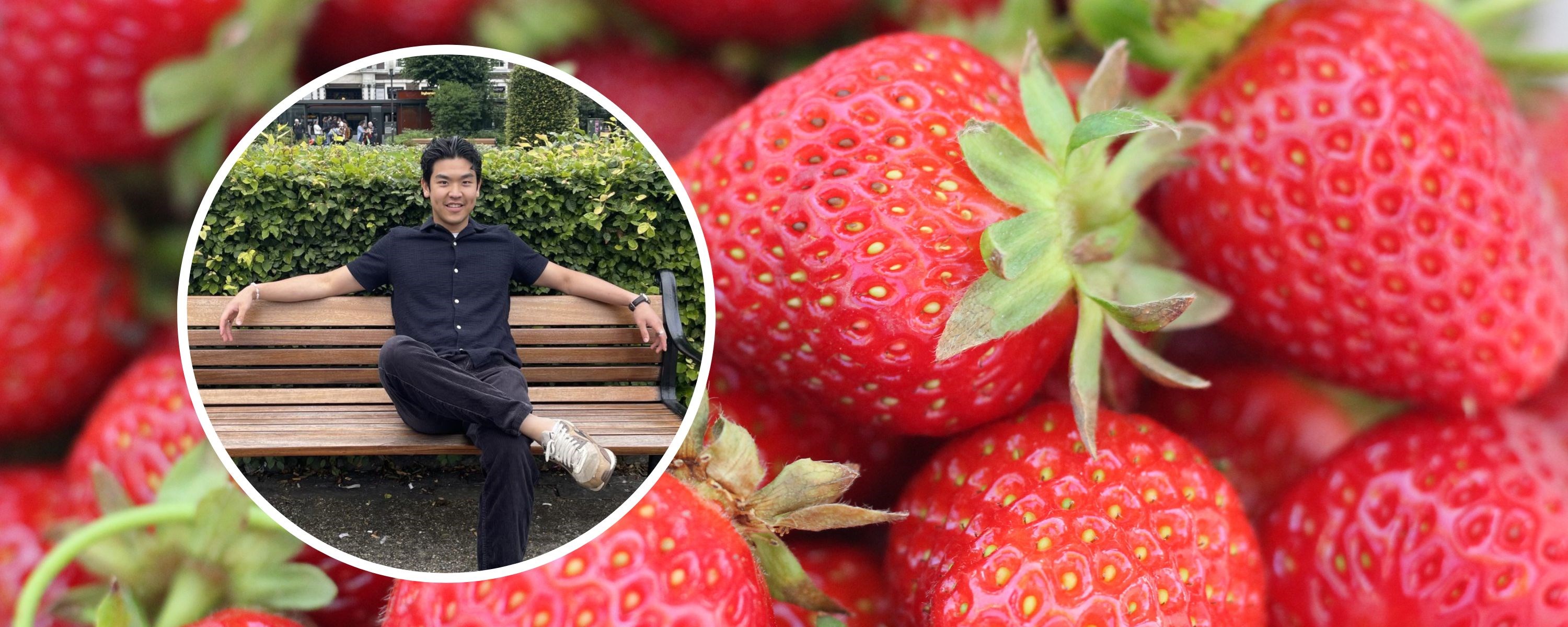 Picture of Erik Tien Huynh and close-up picture of strawberries. Photo: private & Pexels/David Boozer
