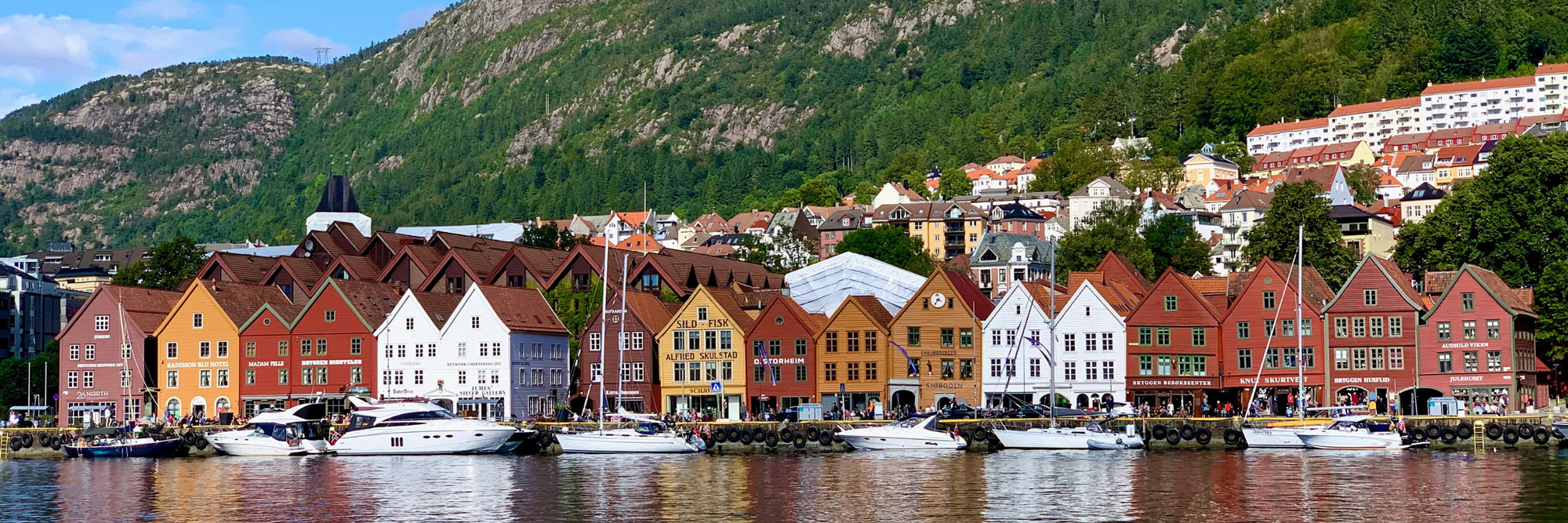 Study in Bergen, Education