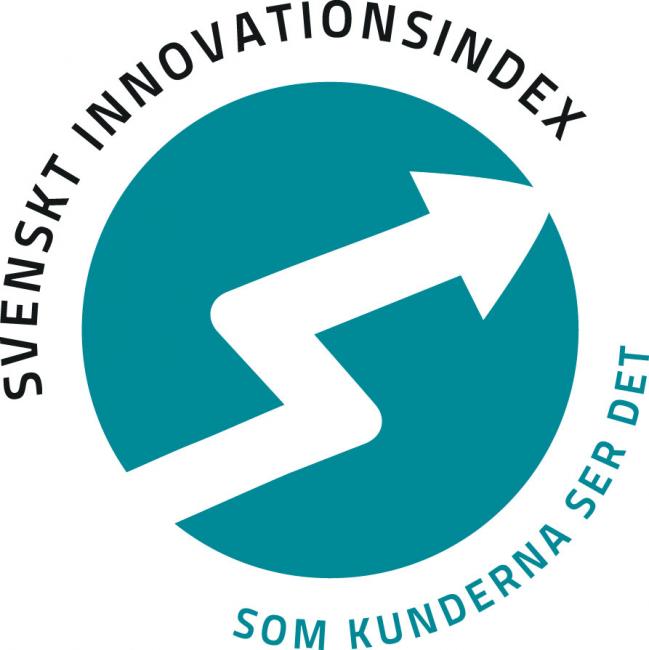 SSI_logo_web.jpg