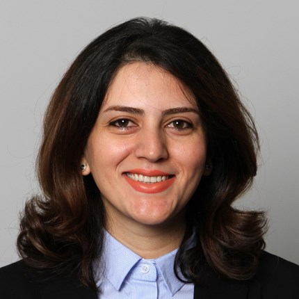 Nahid Rezaeinia, PhD Candidate, Department of Business and Management Science, NHH.
