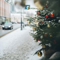 juletre_ pexels_elly fairytale.jpg