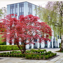 NHH. Foto: Trude Brun Wilhelmsen