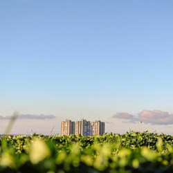 Tall apartment buildings in the distance under a clear blue sky, with green vegetation in the foreground and scattered clouds near the horizon.