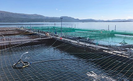 Fish farming facility. Photo: Ove Sjøstrøm