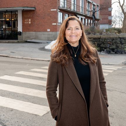 line hestvik_ joakim s enger