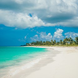 Bilde av hvit strand på Bahamas. Foto Unsplash v. Cristofer Jeschke
