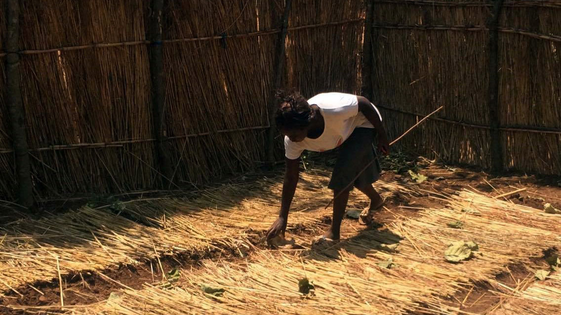 Arbeid i åker. Foto: privat