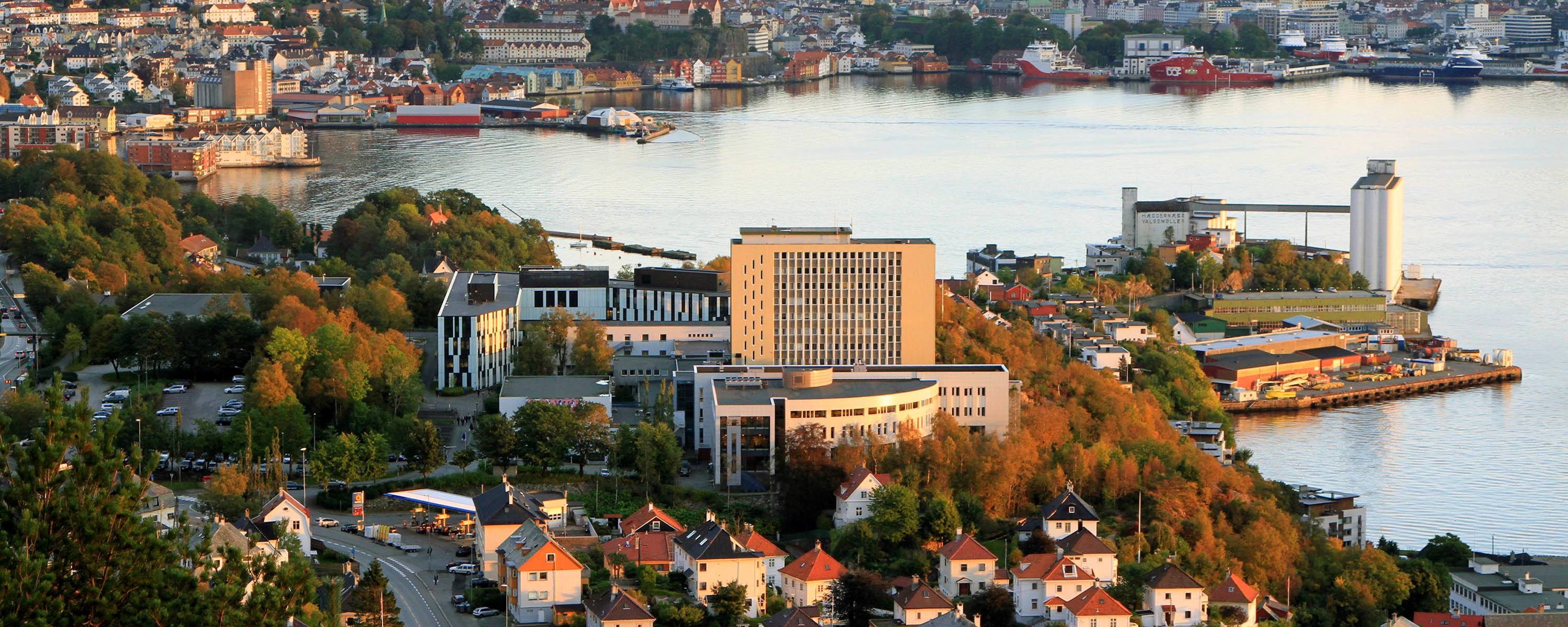 NHH sett fra nord. Arkivfoto: Hallvard Lyssand