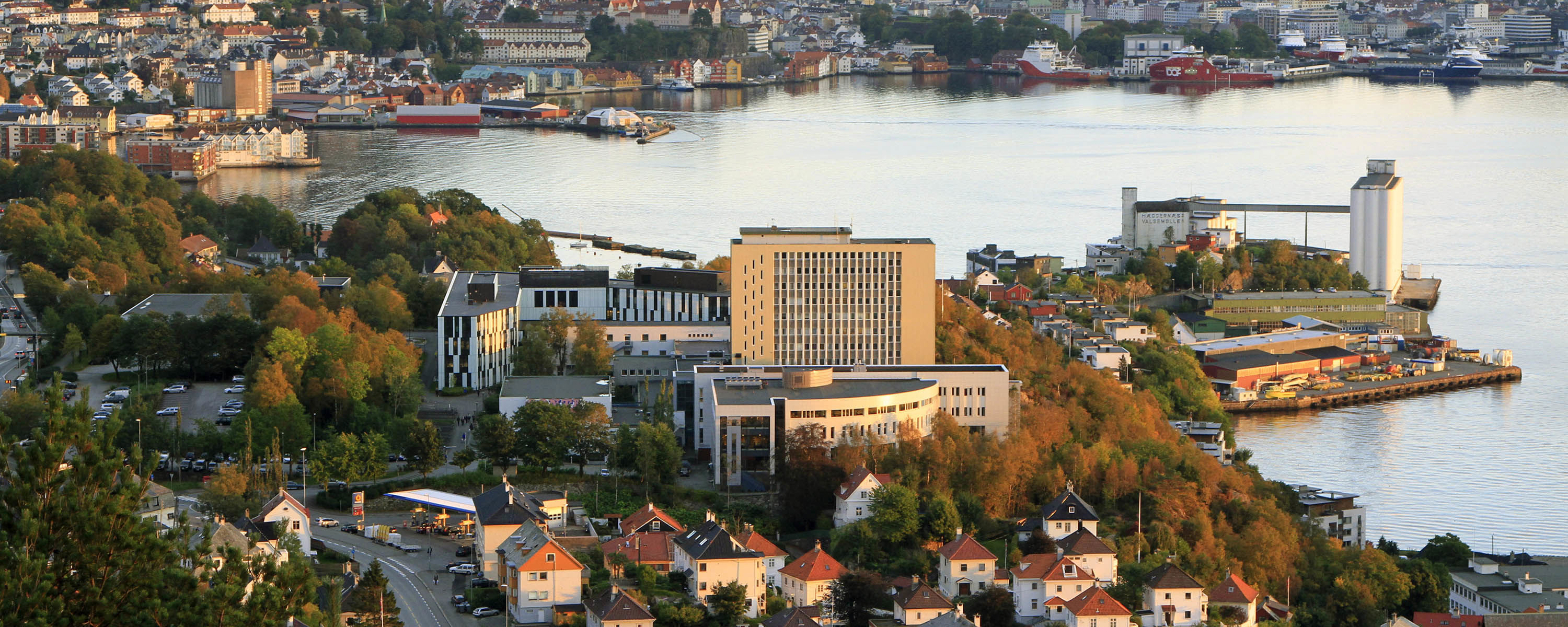 NHH sett fra nord. Arkivfoto: Hallvard Lyssand