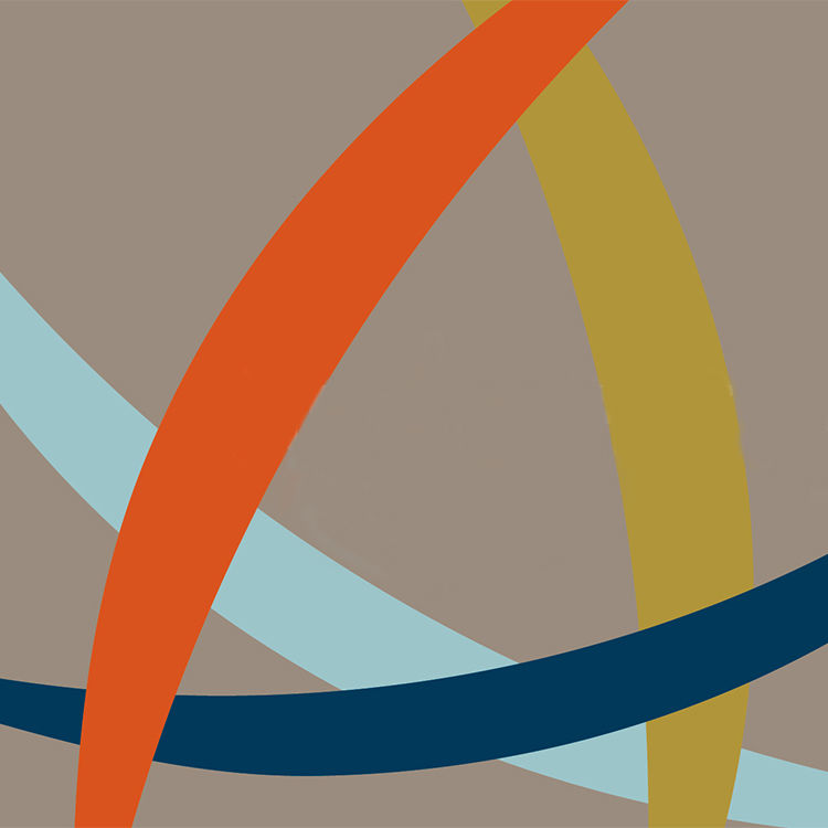 Network confernece logo