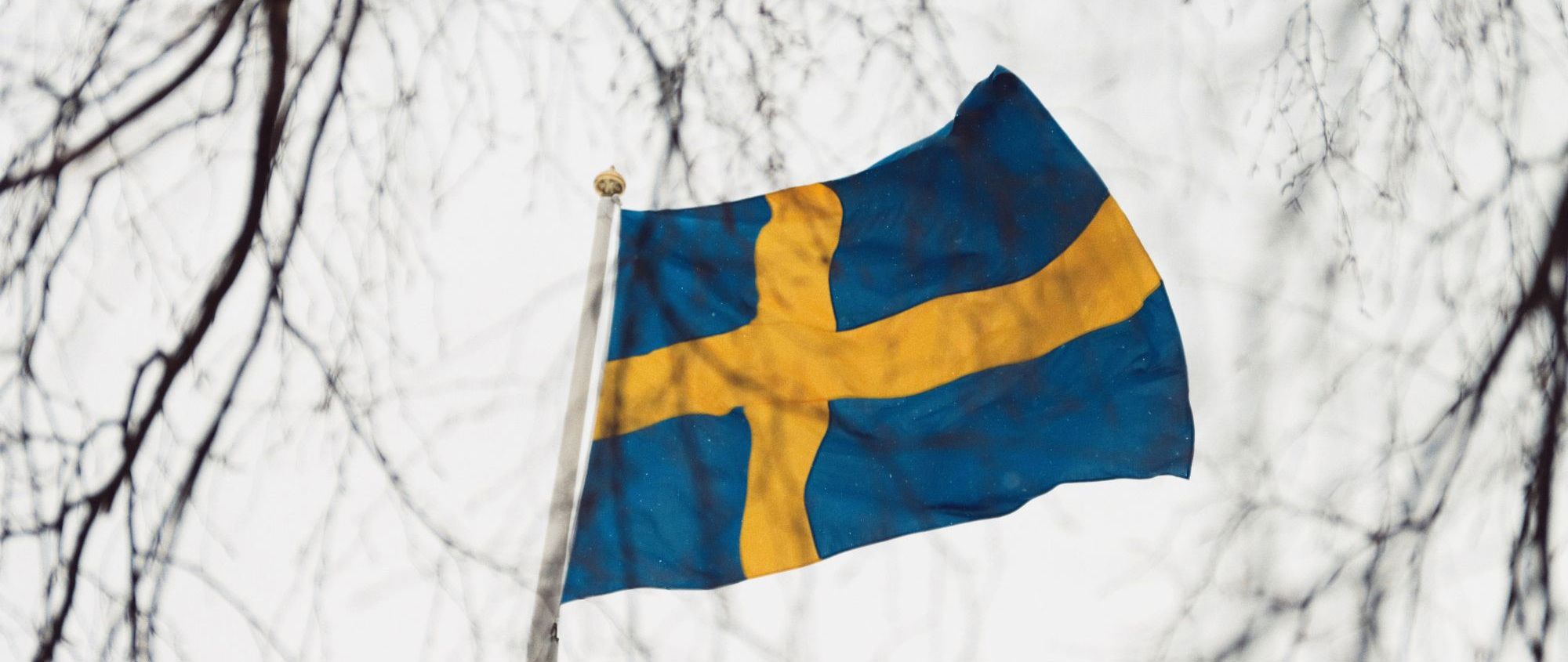 svensk flagg_ pexels_efrem efre
