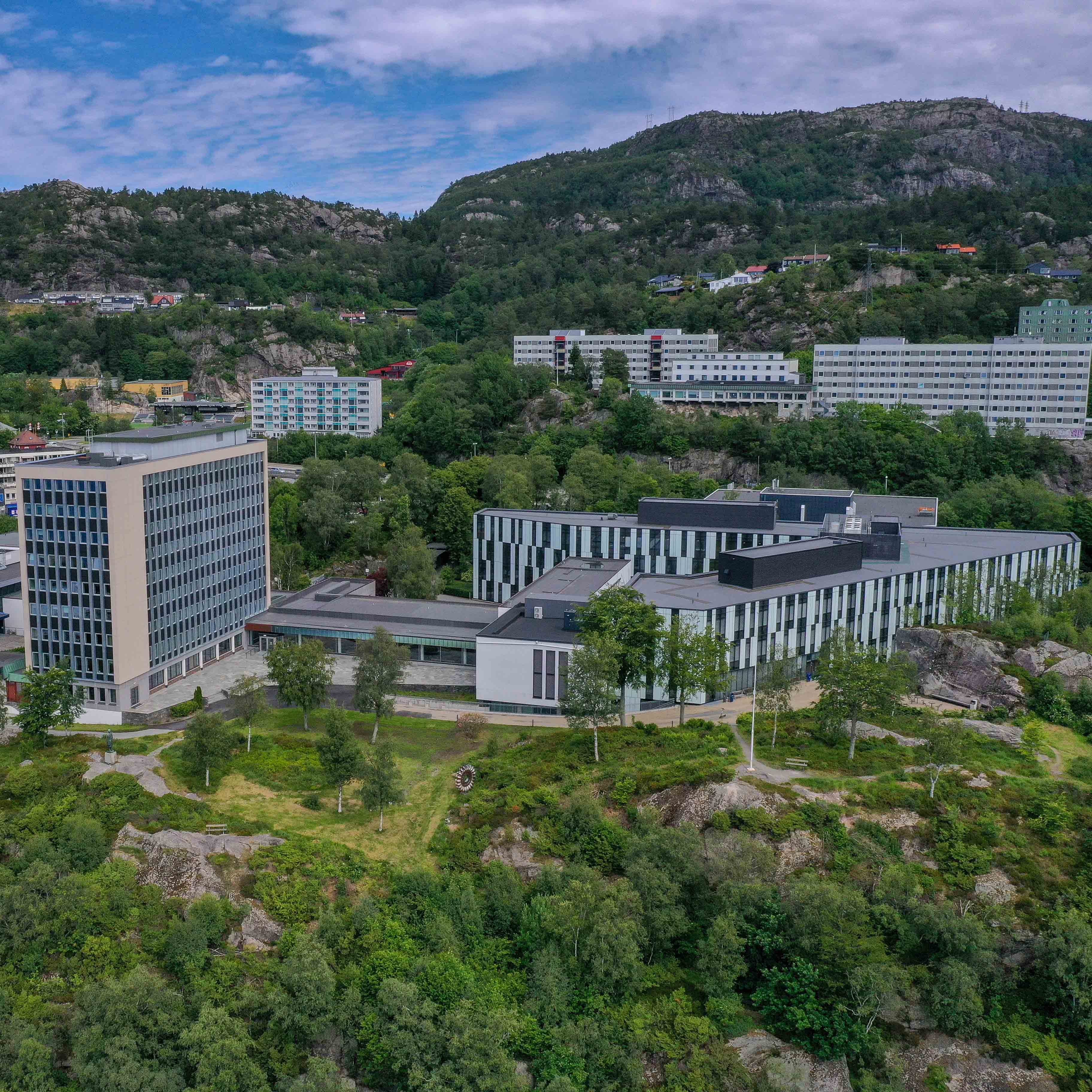 Flyfoto av Norges Handelshøyskole (NHH) i Bergen, omgitt av grøntområder og bolighus.