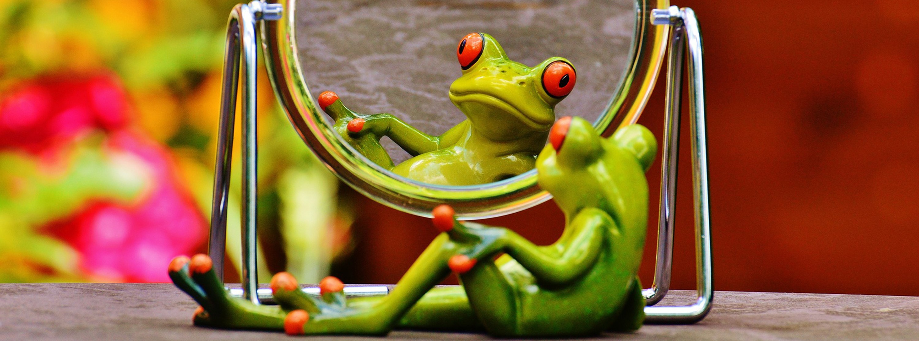 Frog in mirror. illustration. Photo: Alexas_fotos/Pixabay