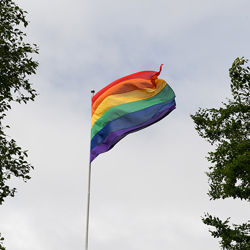 Pride flag. Photo: Ingunn Gjærde/NHH