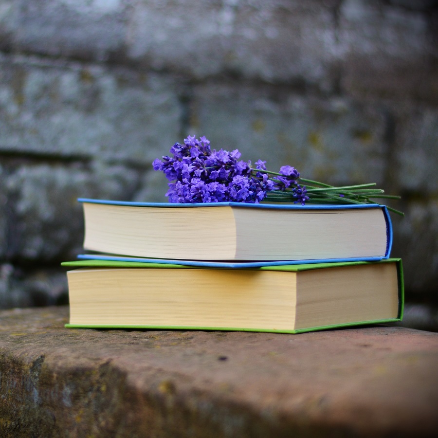 books, pexels-pixabay