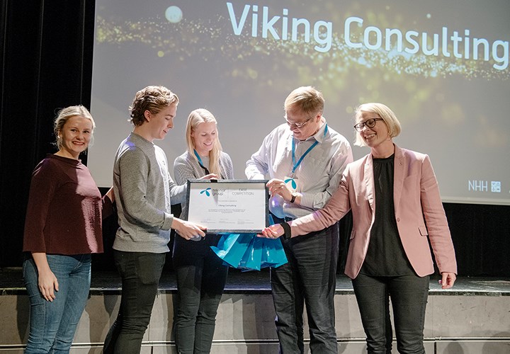 Viking Consulting Team