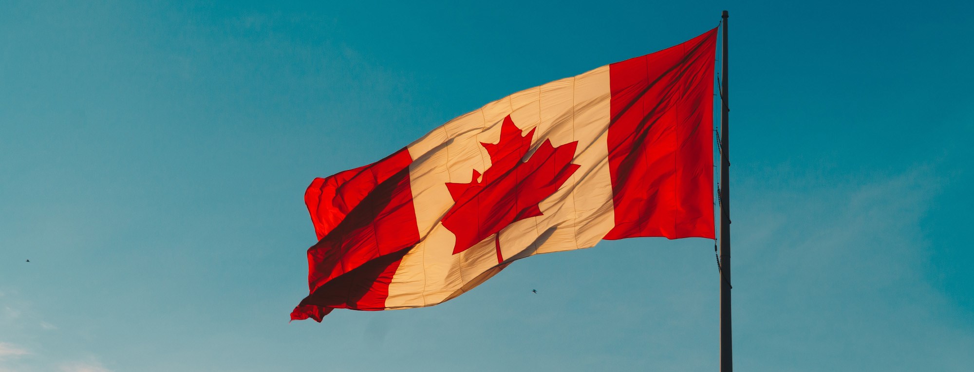 Canadian flag. Photo: Hermes Rivera on Unsplash