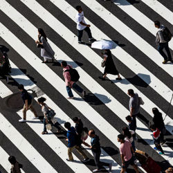 People walking on crossroads.