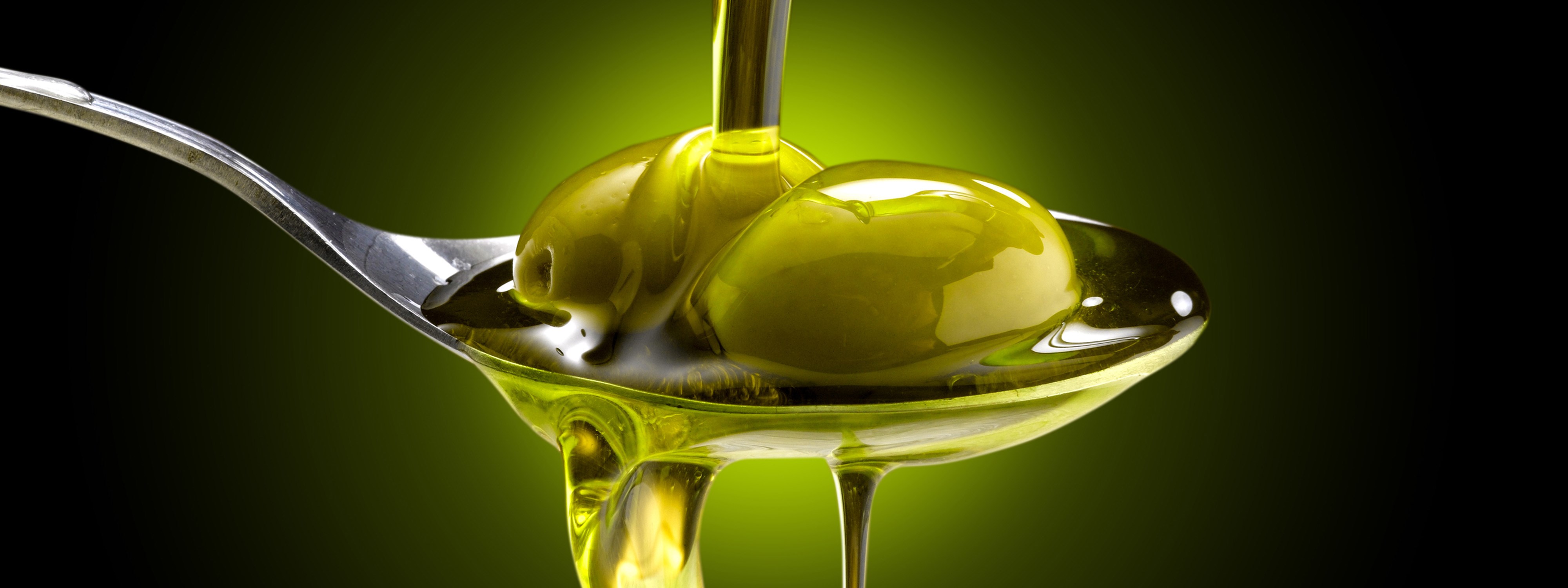 Olive oil. Illustration