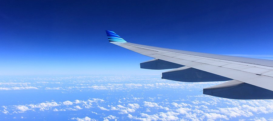 Fly