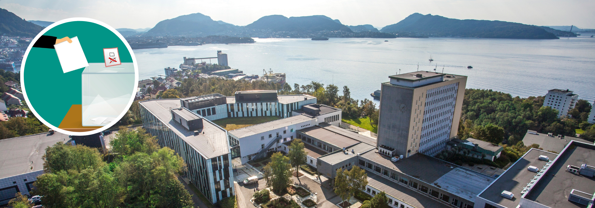 Board elections: 15 permanent and nonpermanent members of faculty are running for the NHH board. PHOTO: NHH