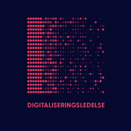 Digitaliseringsledelse, bokomslag