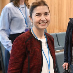 Professor Pinar Akman