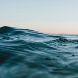 Photo: pexels (Matt Hardy)