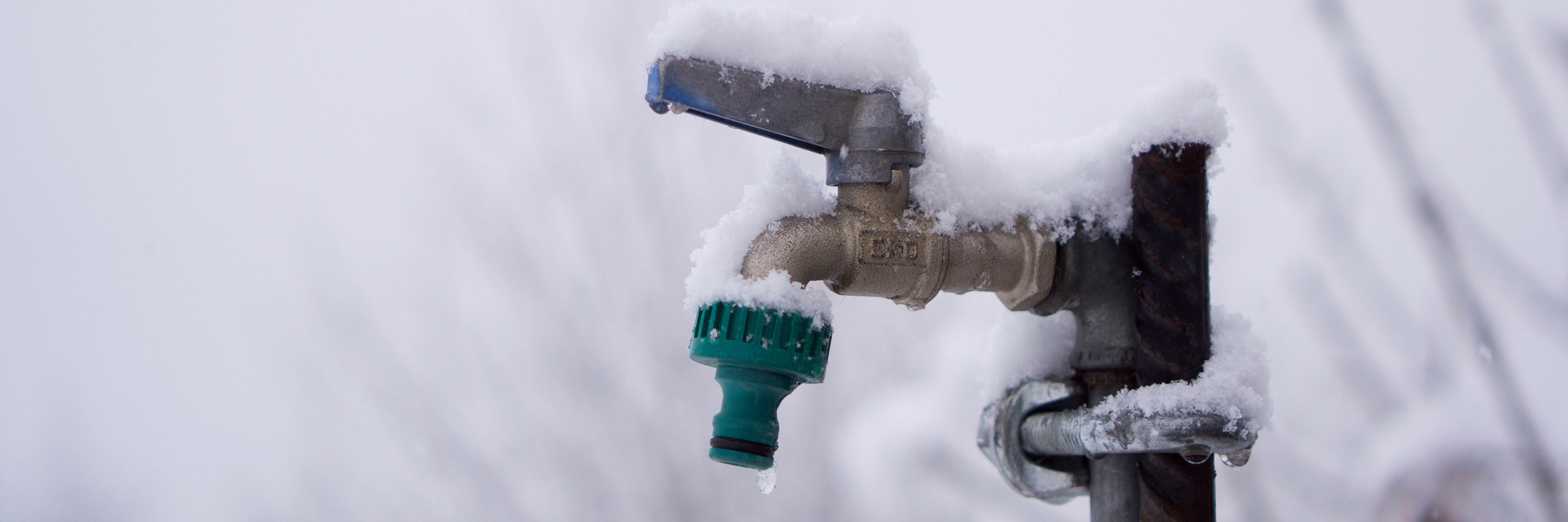 Frossen kran foto: pxhere.com