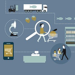 Grocery shopping and supply chains. Illustration by Berit Sømme