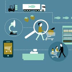 Grocery shopping and supply chains. Illustration by Berit Sømme