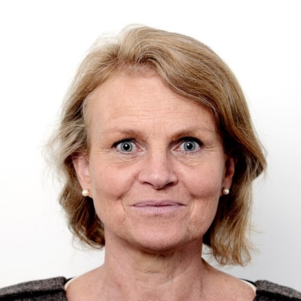 Førsteamanuensis Linda Orvedal, Institutt for samfunnsøkonomi, NHH. 