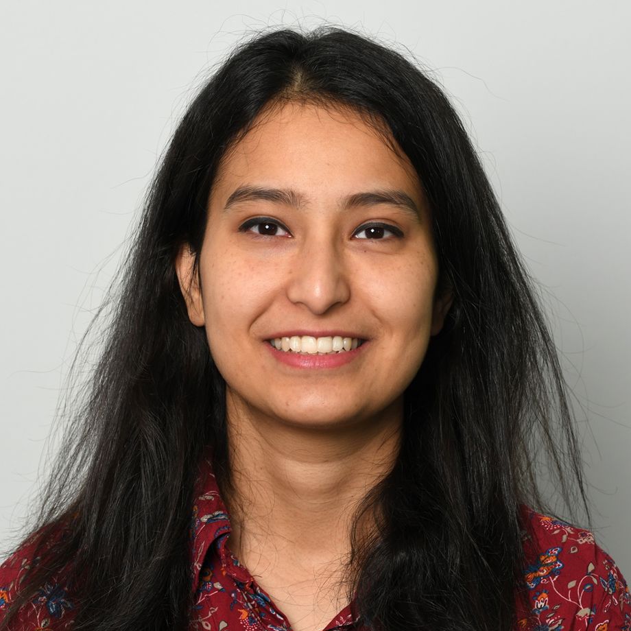 Pallavi Prabhakar, Department of Economics, NHH.