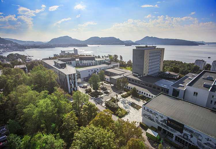 NHH campus from the air
