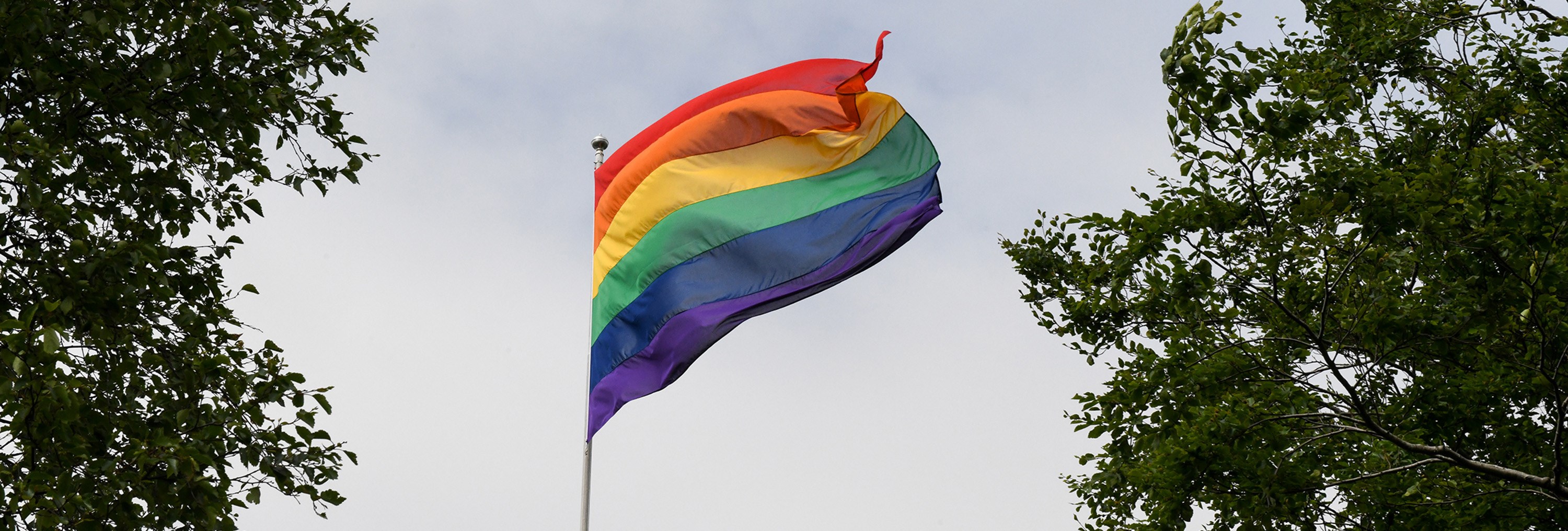 Pride flag at NHH