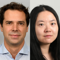 Vincent Somville and Jingyao Wei