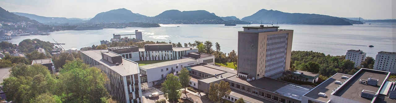 Photo: Varde aerial