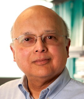 Avinash Dixit. Photo: Princeton University