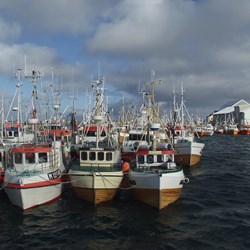 fiskebåter