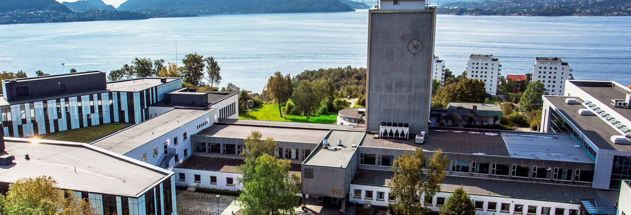 Fra læring til handling. Fra innsikt til resultat. Med NHH Executive