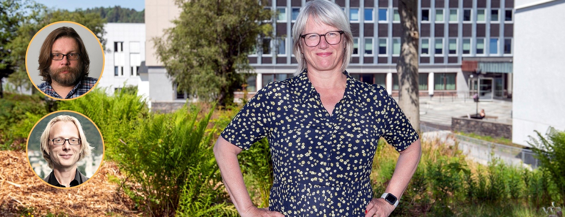 Sissel Jensen ved Institutt for samfunnsøkonomi har fått opprykk til professor. Det har også Walter Pohl, Institutt for finans (øverst til venstre) og Ivar Kolstad ved Institutt for regnskap, revisjon og rettsvitenskap. Foto: Helge Skodvin 