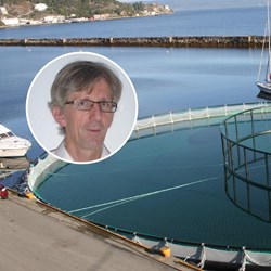 Bjarne Møller has written a PhD thesis that studies whether it is possible to estimate fair value of biological assets and whether financial analysts find such information useful within a context of the Norwegian salmon industry. Foto: wikimedia (Trondheim Port Authority)