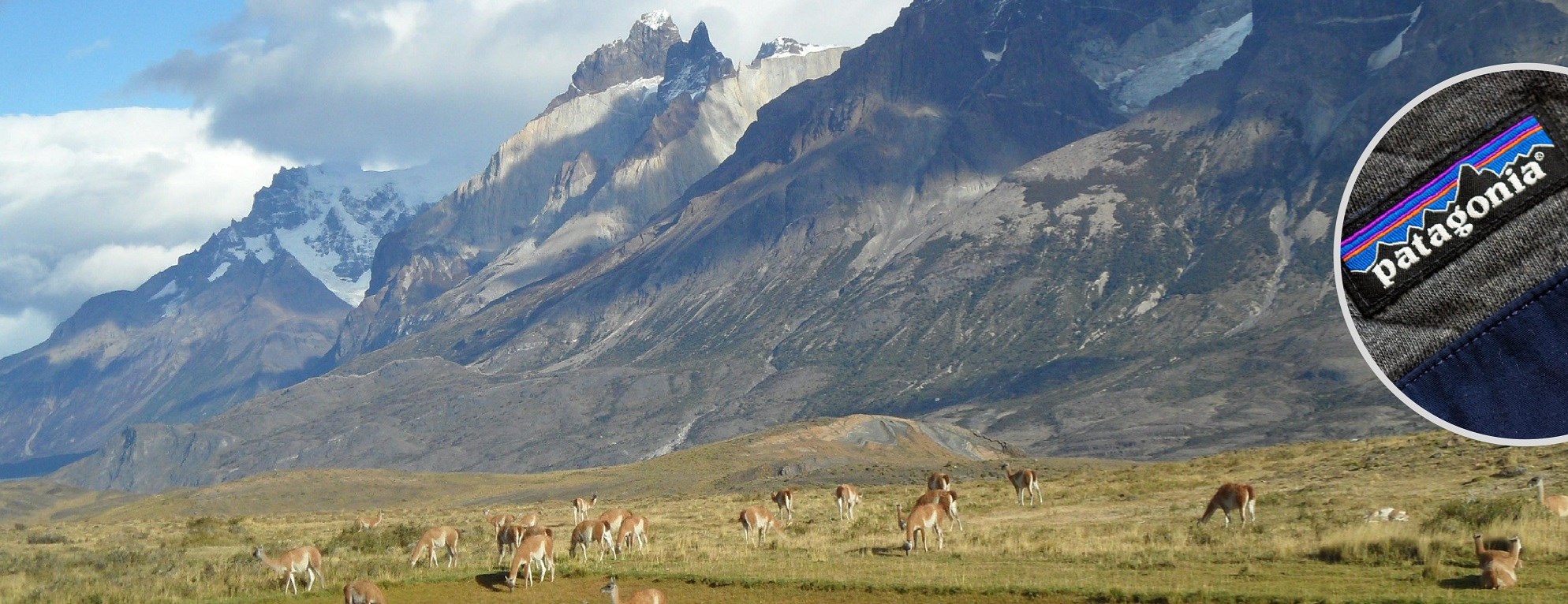 Patagonia, landskap og merke