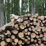Skog, av pixabay.com, recyclind