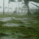 storm, canva