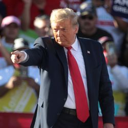 Donald trump_wikimedia_gage skidmore