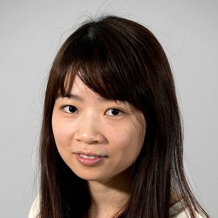 Hong Cai, PhD Candidate at the Department of Department of Business and Management Science.